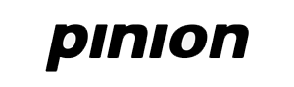 pinion